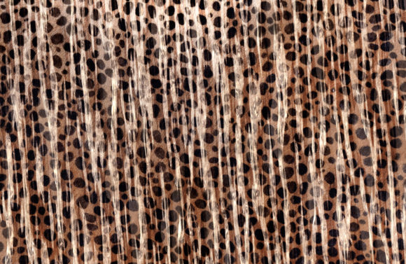Abstract Animal Skin Backgrounds: A Wild Textural Revolution